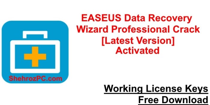 Easeus data recovery crack onhax